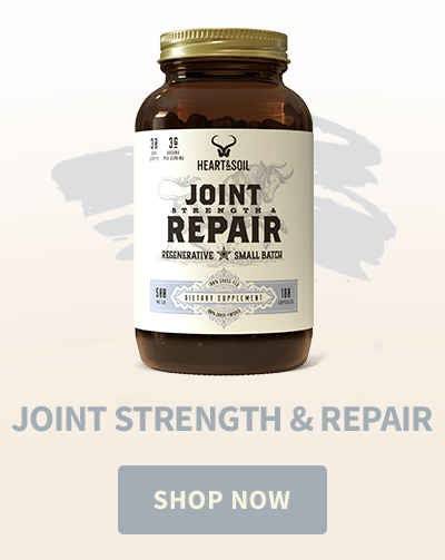 Issue #176: Progress Beats Perfection (Every Single Time) | Heart & Soil Supplements