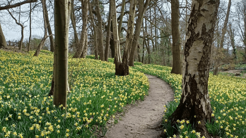 The Complete FAQ: Can Seasonal Allergies Cause Fatigue, Hives, Nausea, and More? | Heart & Soil Supplements