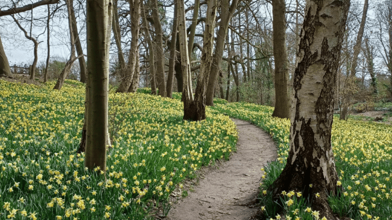 The Complete FAQ: Can Seasonal Allergies Cause Fatigue, Hives, Nausea, and More?