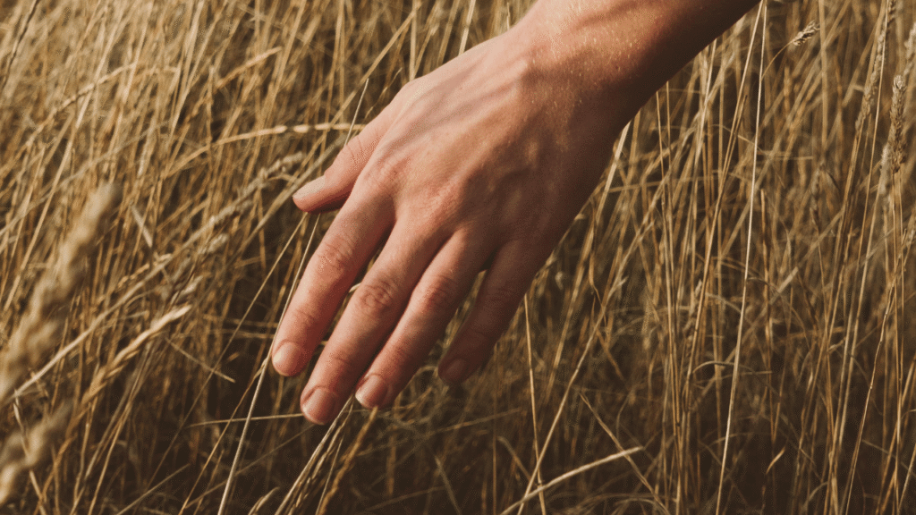 10+ Foods That Help With Seasonal Allergies | Heart & Soil Supplements