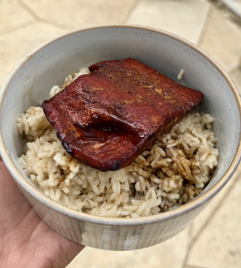 Marinated Salmon and Bone Broth Rice: Animal-Based Recipe