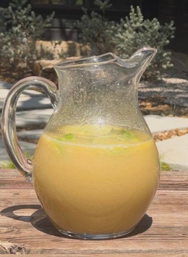Brazilian Lemonade Recipe: Superb 4-Ingredient Animal-Based Hydration