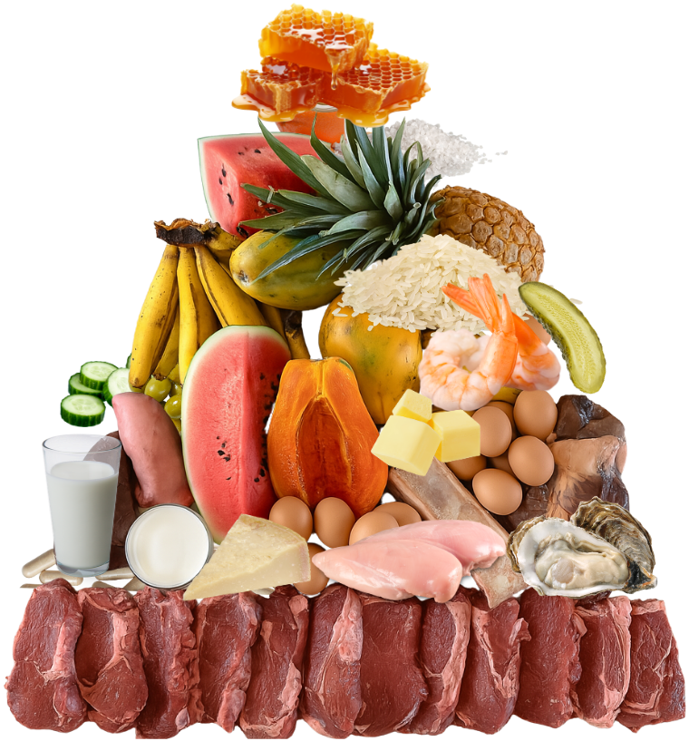 12 Delicious Animal-Based School Lunch Ideas for Kids | Heart & Soil Supplements